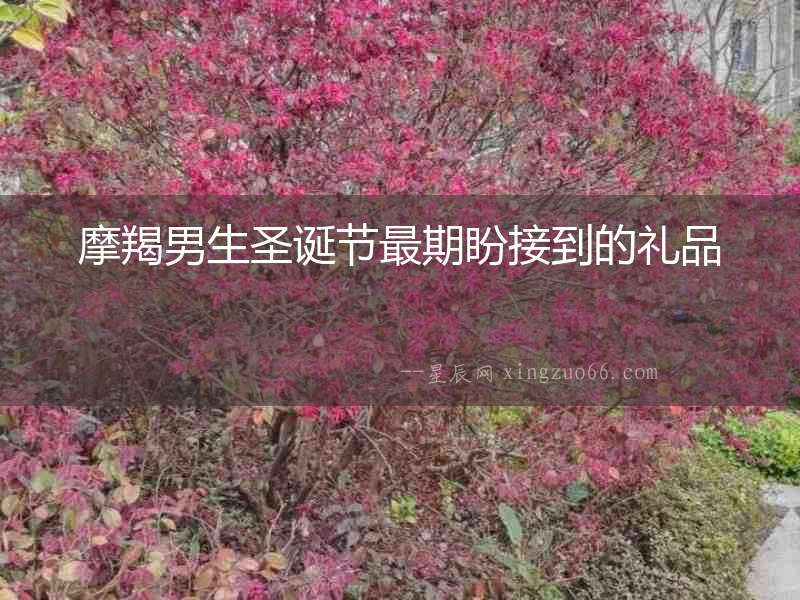摩羯男生圣誕節(jié)最期盼接到的禮品