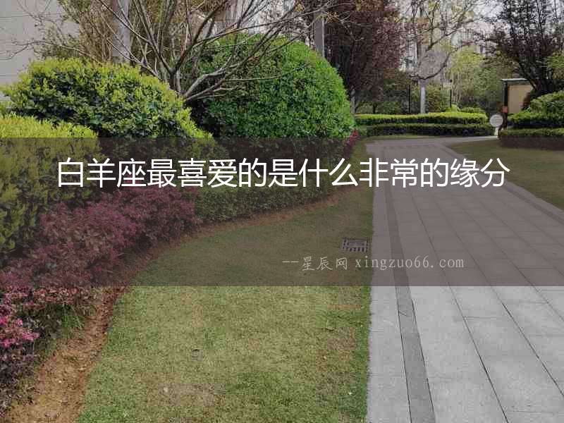白羊座最喜愛的是什么非常的緣分