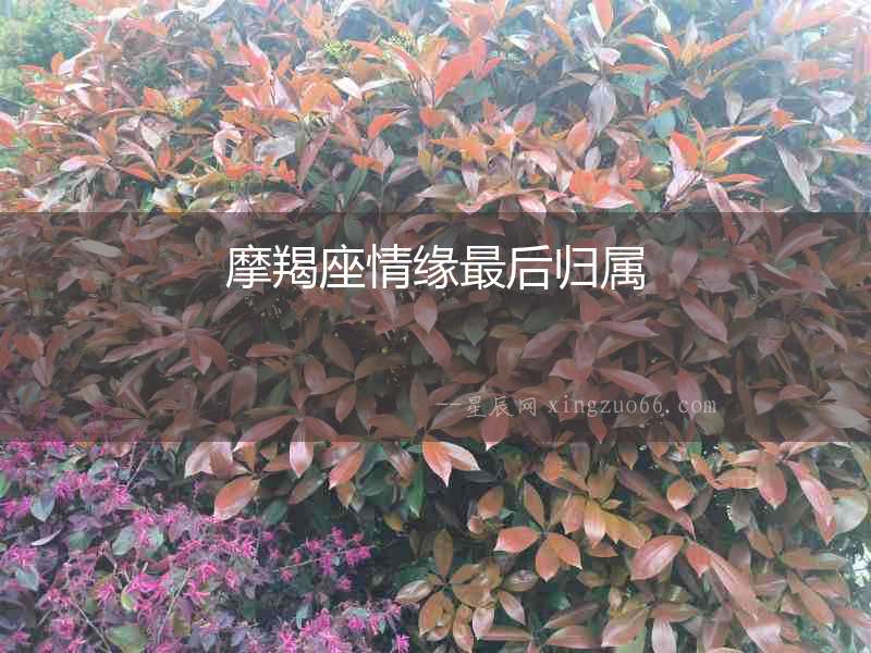 摩羯座情緣最后歸屬