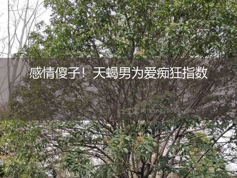 感情傻子！天蝎男為愛癡狂指數(shù)