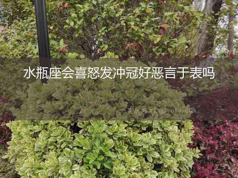 水瓶座會喜怒發沖冠好惡言于表嗎