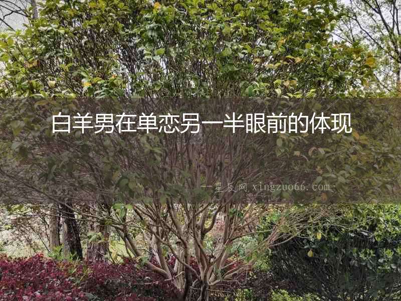白羊男在單戀另一半眼前的體現