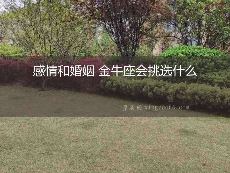 感情和婚姻 金牛座會(huì)挑選什么