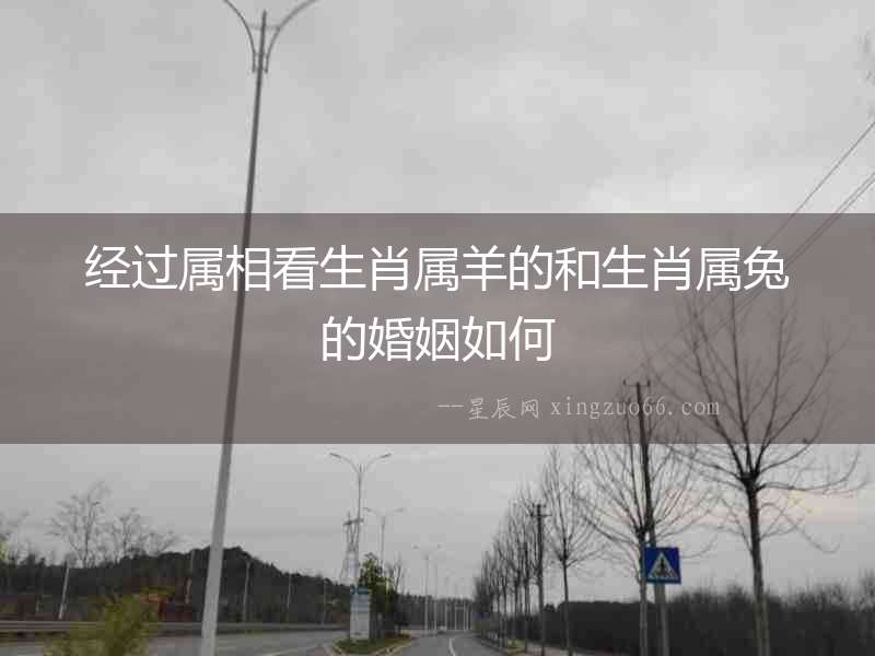 經過屬相看生肖屬羊的和生肖屬兔的婚姻如何