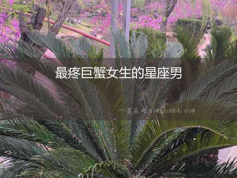 最疼巨蟹女生的星座男