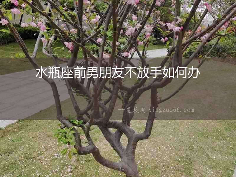 水瓶座前男朋友不放手如何辦