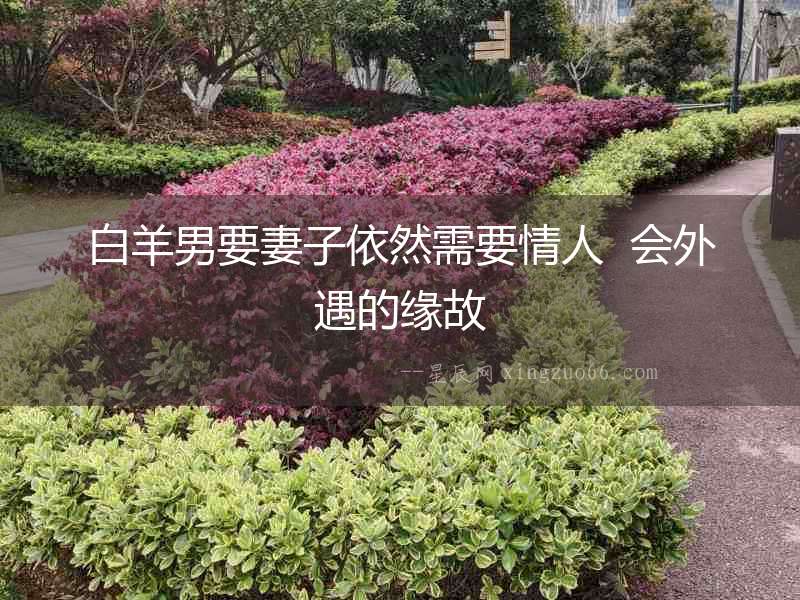 白羊男要妻子依然需要情人  會(huì)外遇的緣故