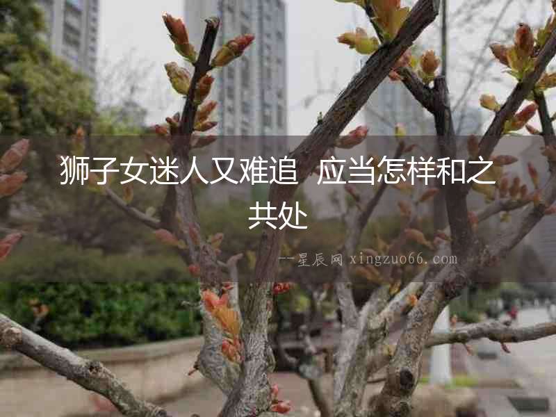 獅子女迷人又難追  應當怎樣和之共處