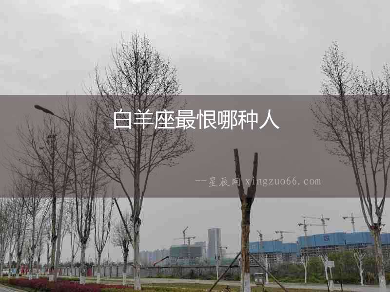 白羊座最恨哪種人