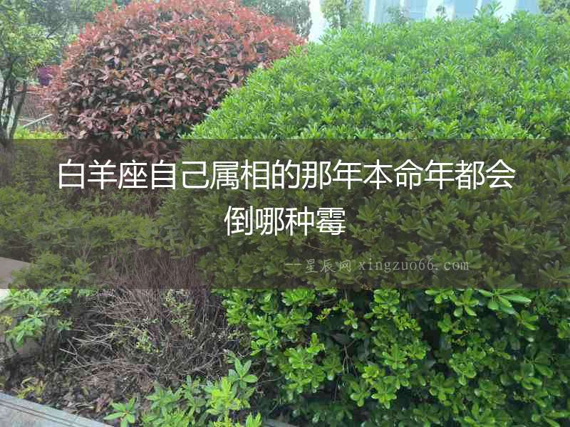 白羊座自己屬相的那年本命年都會倒哪種霉