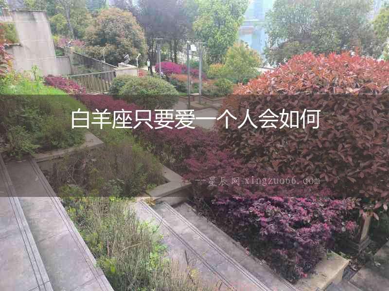 白羊座只要愛一個(gè)人會如何