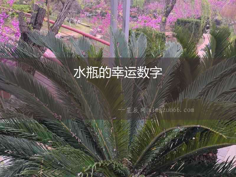 水瓶的幸運數字