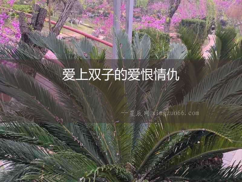 愛上雙子的愛恨情仇
