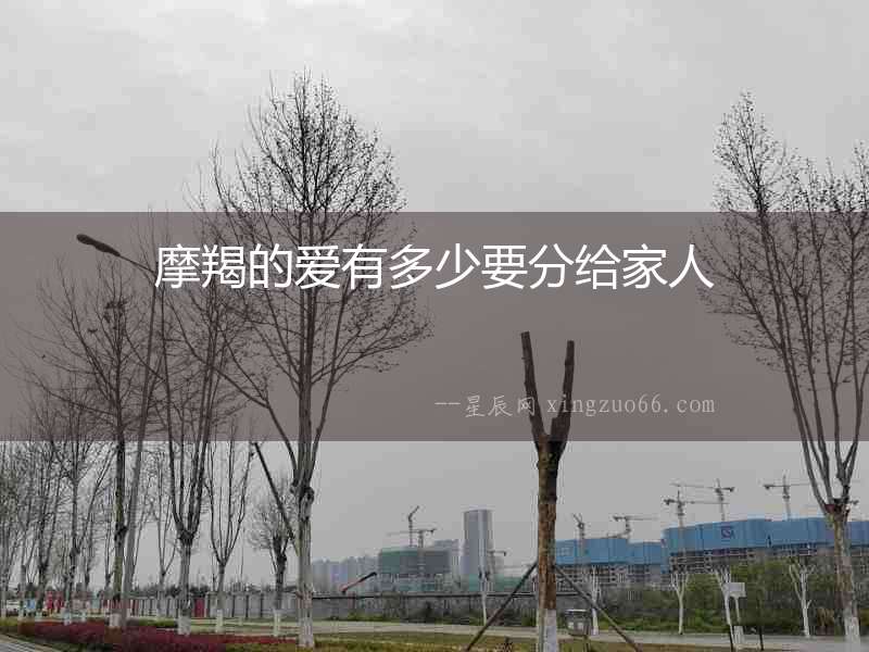 摩羯的愛有多少要分給家人