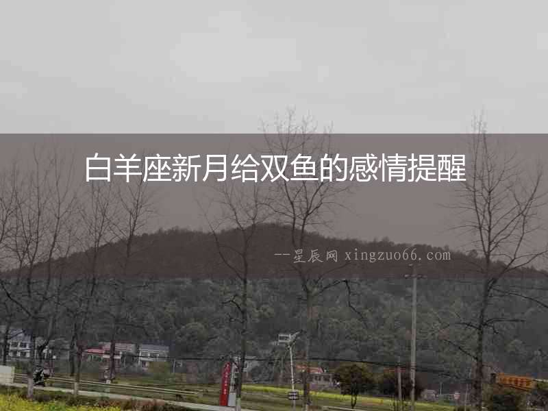白羊座新月給雙魚的感情提醒