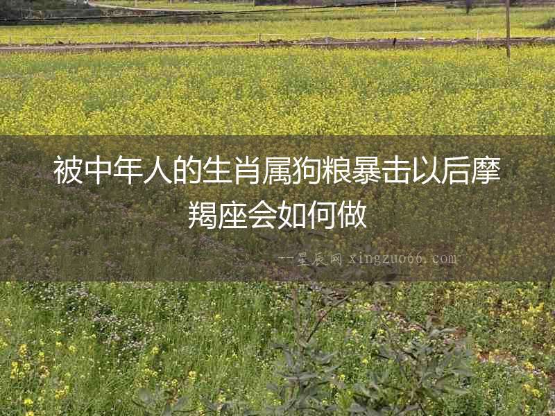 被中年人的生肖屬狗糧暴擊以后摩羯座會如何做