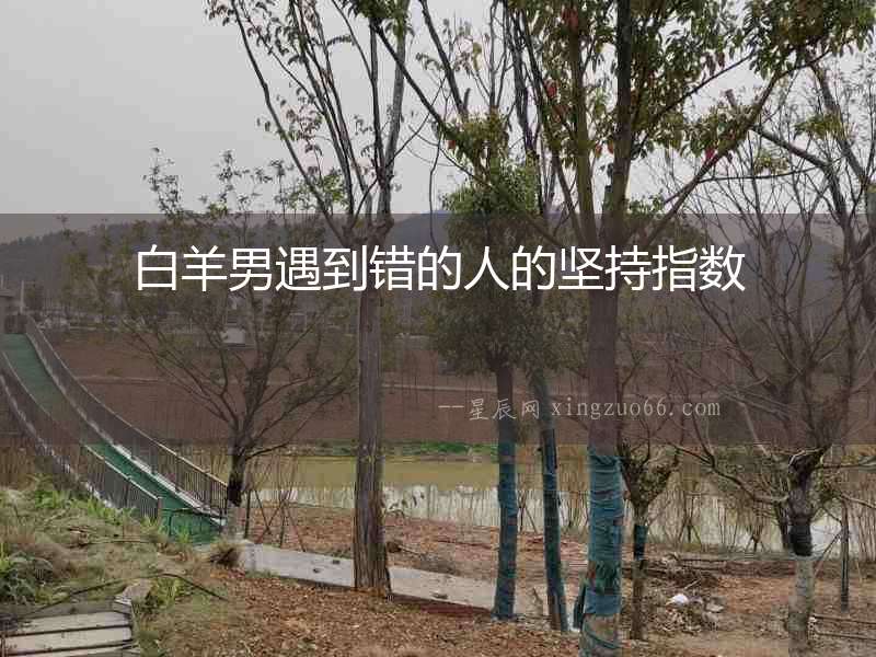 白羊男遇到錯的人的堅持指數