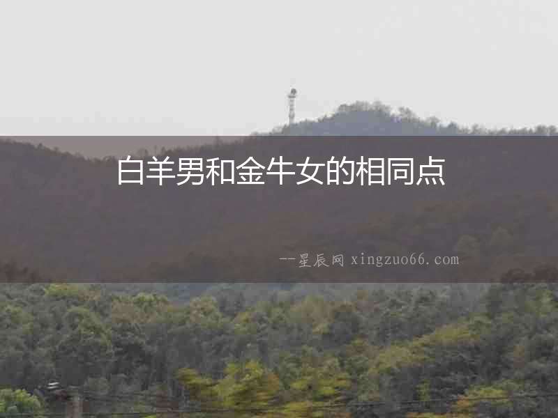 白羊男和金牛女的相同點