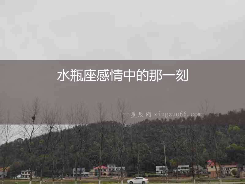 水瓶座感情中的那一刻
