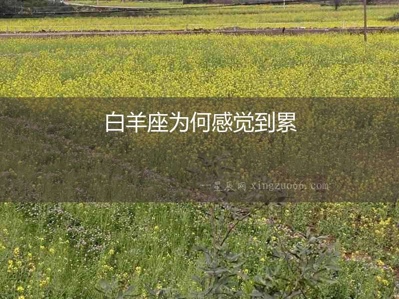 白羊座為何感覺到累