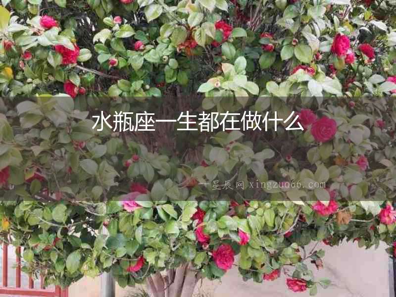 水瓶座一生都在做什么