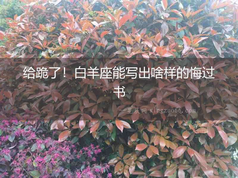 給跪了！白羊座能寫出啥樣的悔過書
