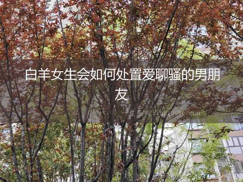 白羊女生會(huì)如何處置愛聊騷的男朋友