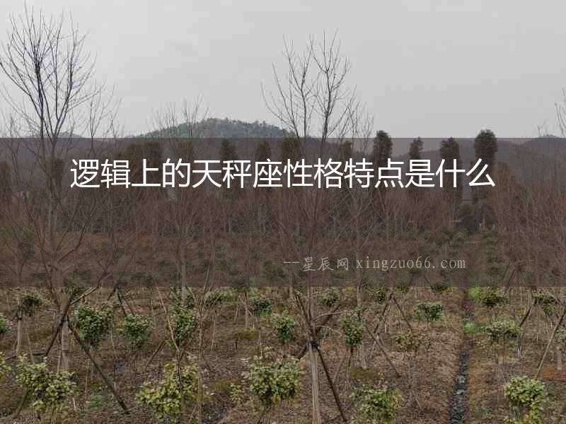 邏輯上的天秤座性格特點是什么