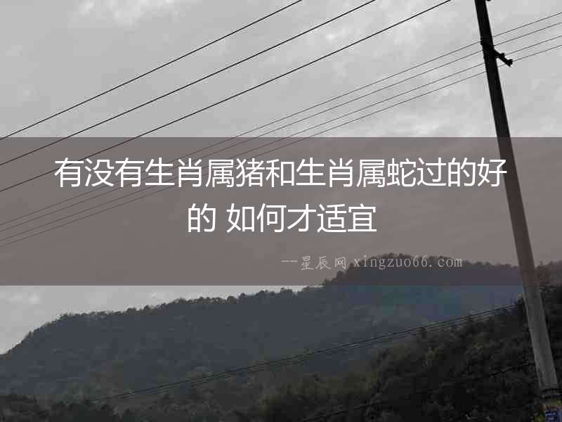 有沒有生肖屬豬和生肖屬蛇過的好的 如何才適宜
