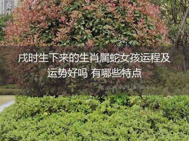 戌時(shí)生下來的生肖屬蛇女孩運(yùn)程及運(yùn)勢(shì)好嗎 有哪些特點(diǎn)