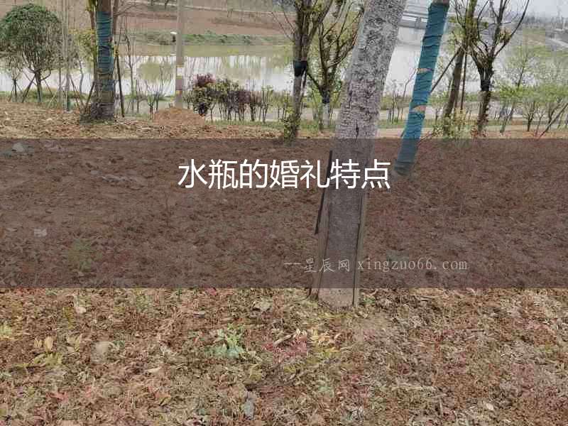 水瓶的婚禮特點(diǎn)