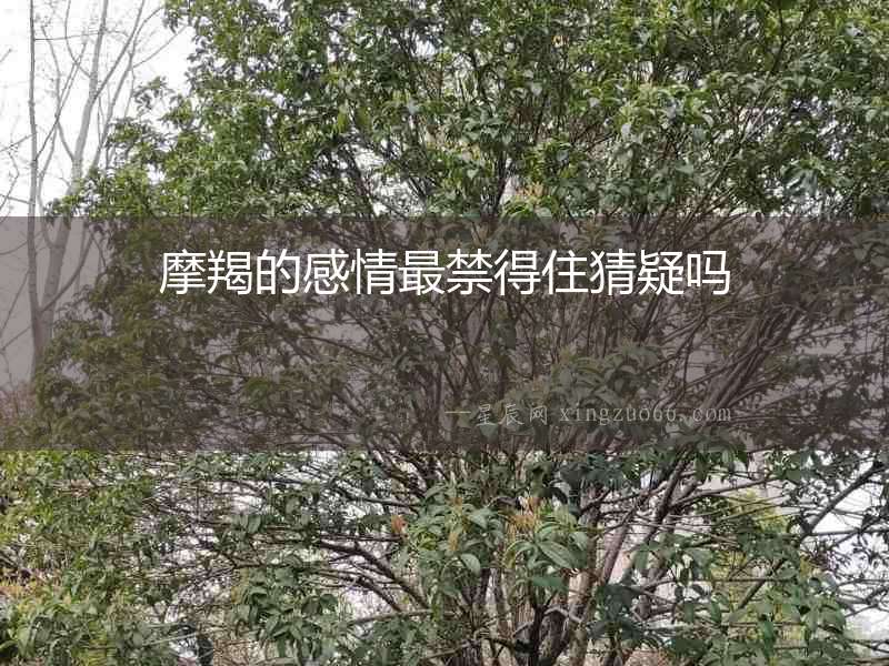 摩羯的感情最禁得住猜疑嗎