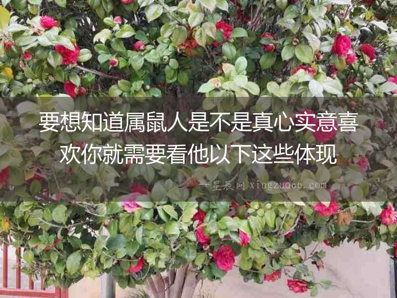要想知道屬鼠人是不是真心實意喜歡你就需要看他以下這些體現