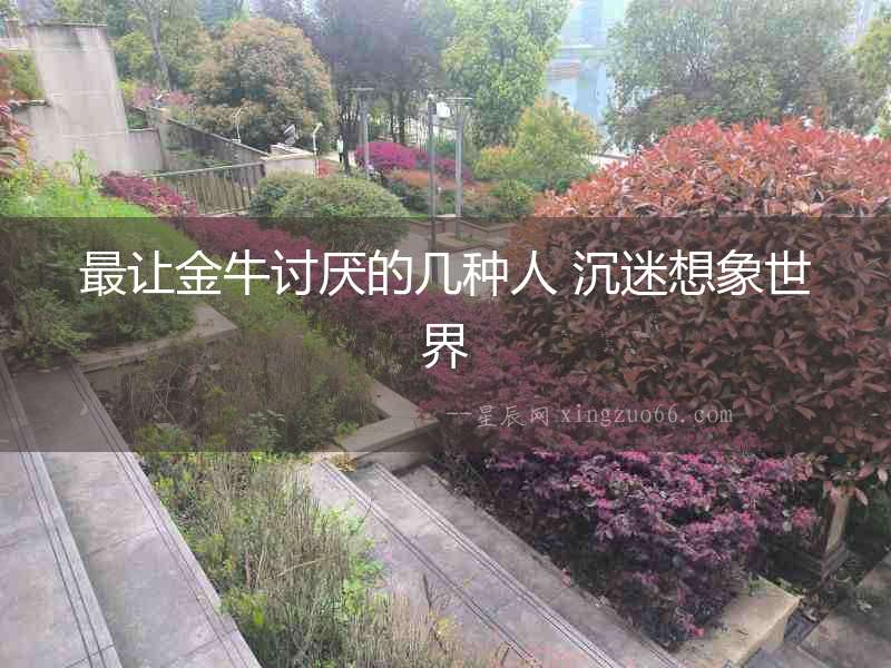 最讓金牛討厭的幾種人 沉迷想象世界