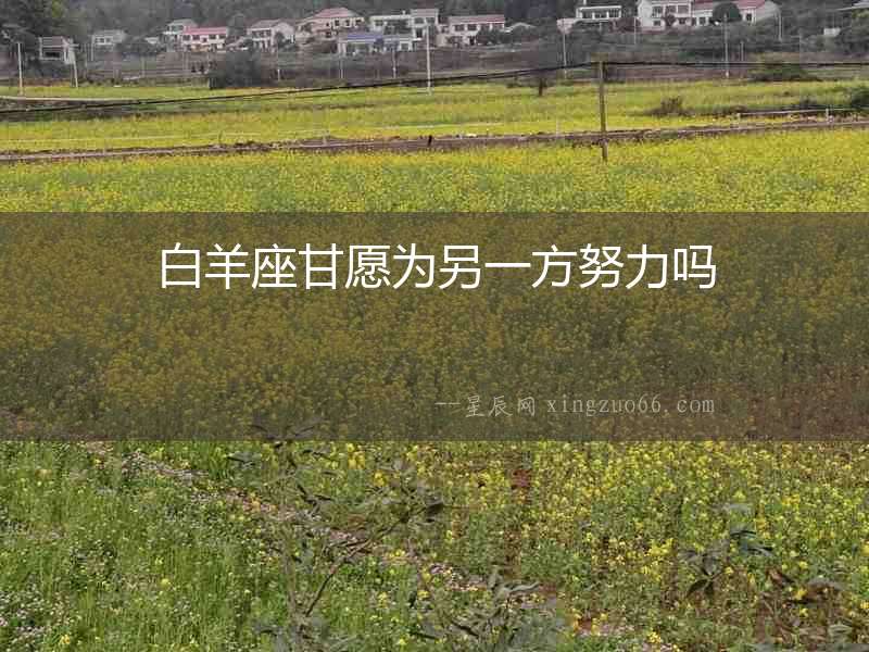 白羊座甘愿為另一方努力嗎
