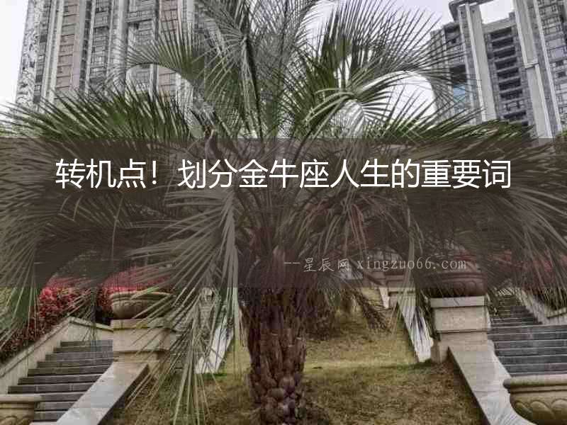 轉(zhuǎn)機(jī)點！劃分金牛座人生的重要詞