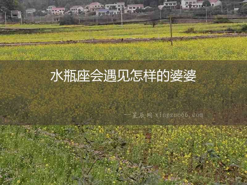 水瓶座會遇見怎樣的婆婆
