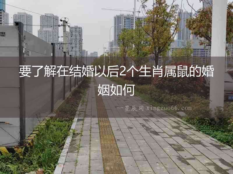 要了解在結(jié)婚以后2個生肖屬鼠的婚姻如何