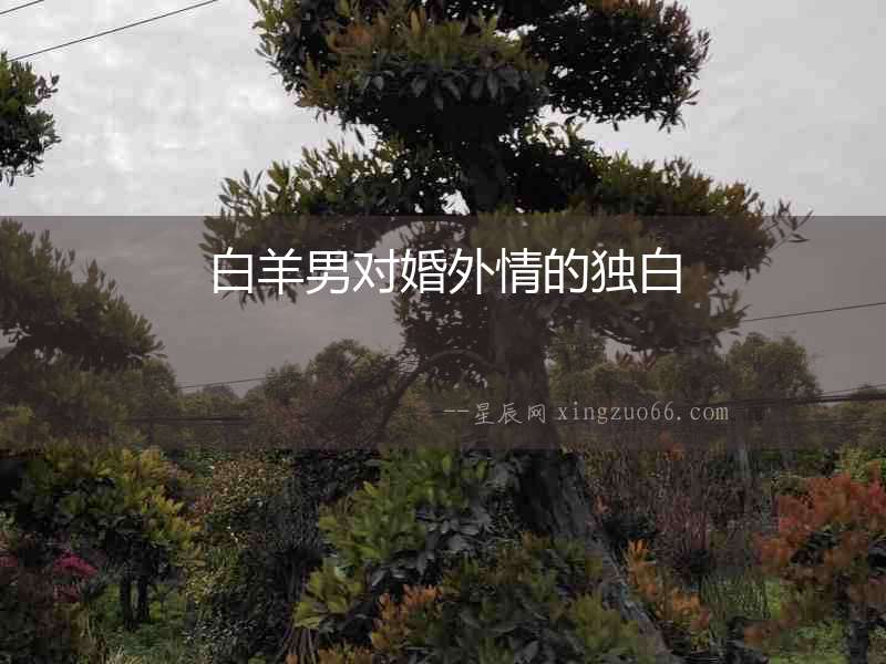 白羊男對婚外情的獨白