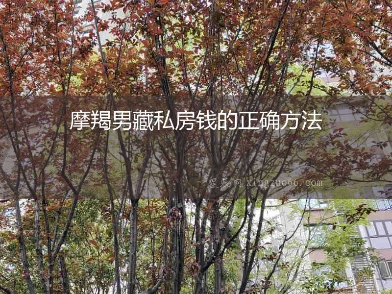 摩羯男藏私房錢的正確方法