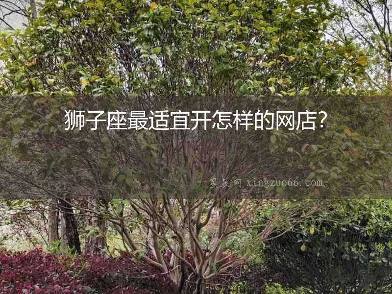 獅子座最適宜開怎樣的網店？
