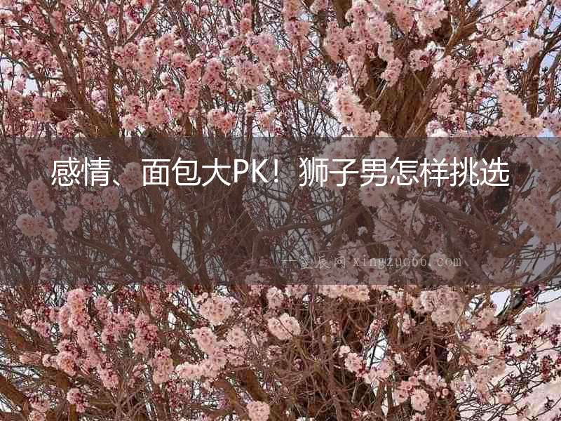 感情、面包大PK！獅子男怎樣挑選