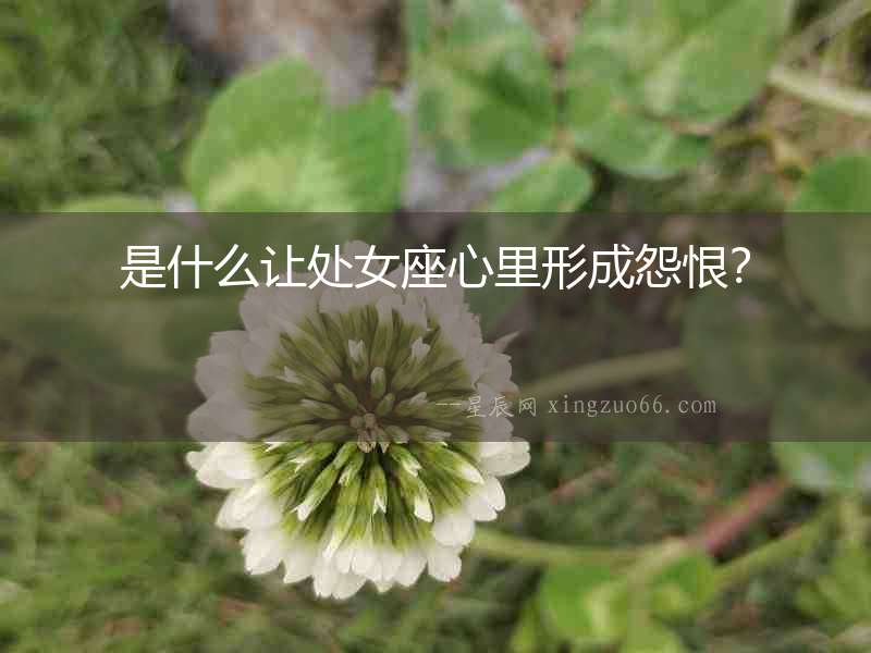 是什么讓處女座心里形成怨恨？