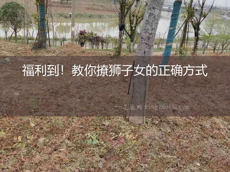 福利到！教你撩獅子女的正確方式