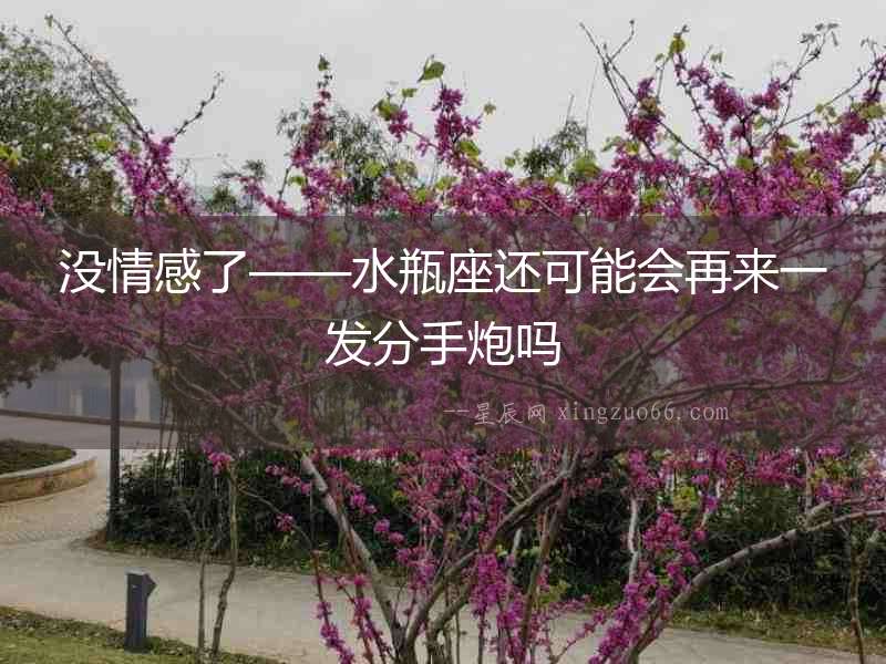 沒情感了——水瓶座還可能會再來一發分手炮嗎