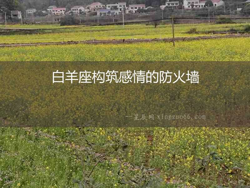 白羊座構筑感情的防火墻