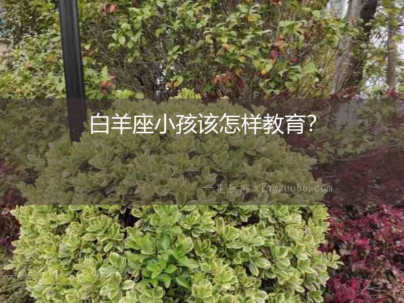 白羊座小孩該怎樣教育？