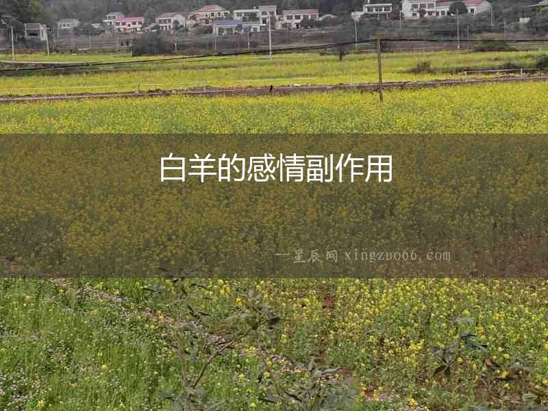 白羊的感情副作用