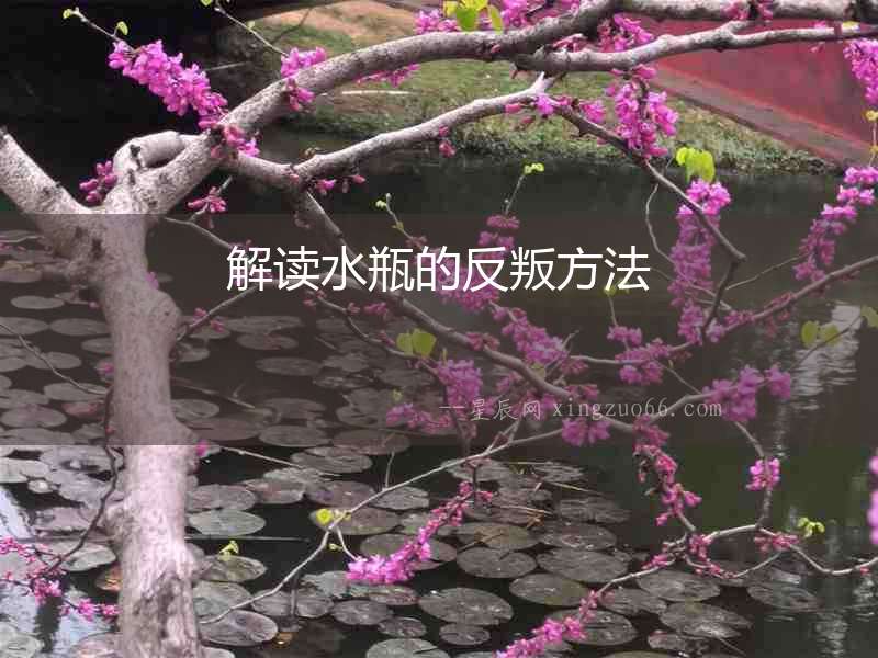 解讀水瓶的反叛方法