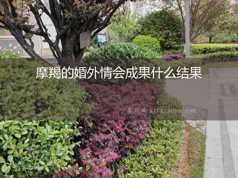 摩羯的婚外情會成果什么結(jié)果
